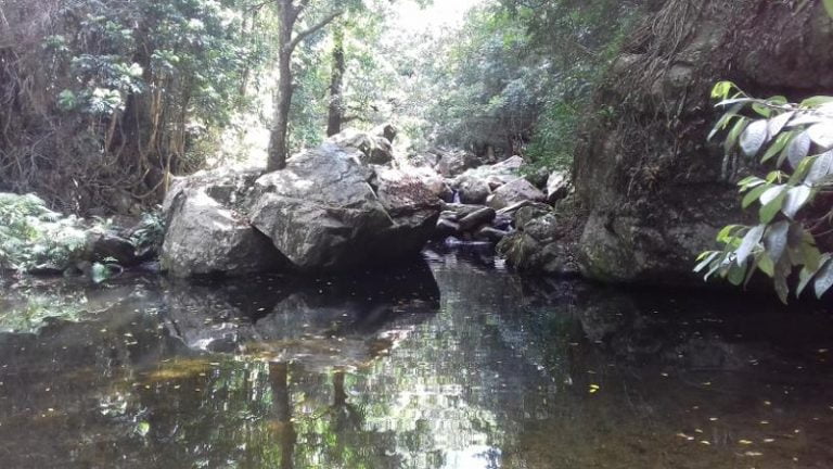 stoney creek kamerunga queensland 1 768x432